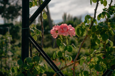 Madrid, Spain — fine art travel photography print available from Clever Tourists