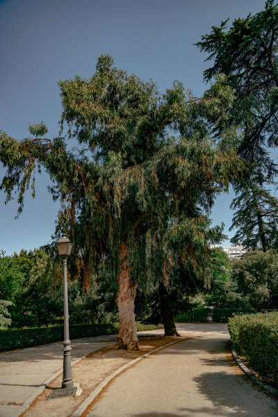 Madrid, Spain — fine art travel photography print available from Clever Tourists