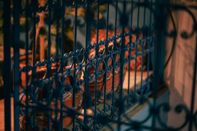 Chefchaouen, Morocco — fine art travel photography print available from Clever Tourists