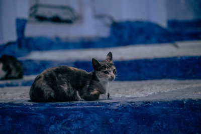 Chefchaouen, Morocco — fine art travel photography print available from Clever Tourists