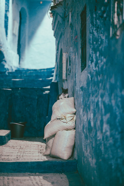 Chefchaouen, Morocco — fine art travel photography print available from Clever Tourists