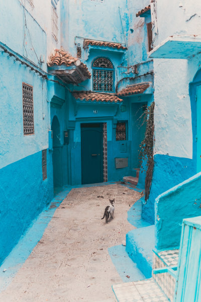Chefchaouen, Morocco — fine art travel photography print available from Clever Tourists