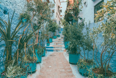 Chefchaouen, Morocco — fine art travel photography print available from Clever Tourists