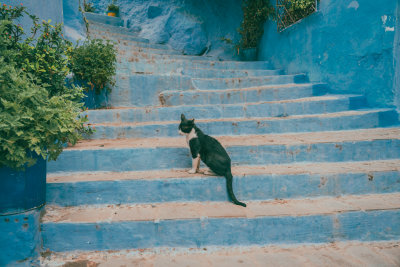 Chefchaouen, Morocco — fine art travel photography print available from Clever Tourists
