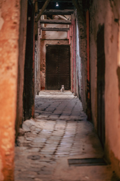 Fes, Morocco — fine art travel photography print available from Clever Tourists