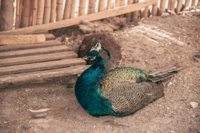 Fes, Morocco — fine art travel photography print available from Clever Tourists