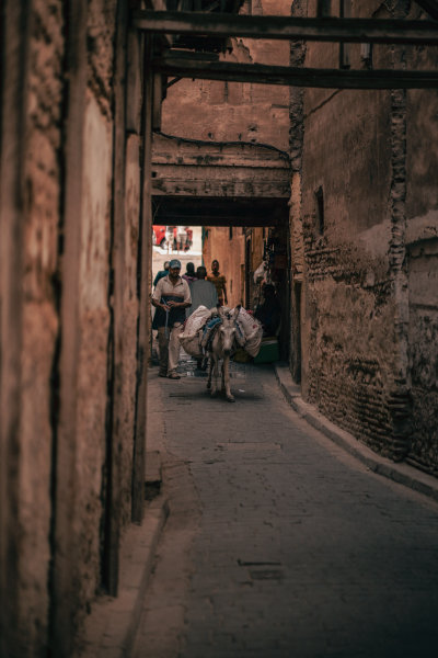 Fes, Morocco — fine art travel photography print available from Clever Tourists