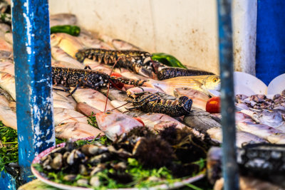 Essaouira, Morocco — fine art travel photography print available from Clever Tourists