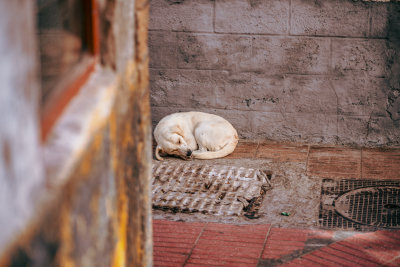 Essaouira, Morocco — fine art travel photography print available from Clever Tourists