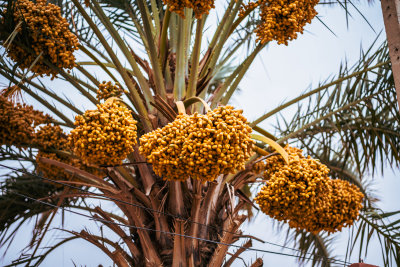 Ouarzazate, Morocco — fine art travel photography print available from Clever Tourists