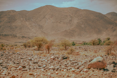 Zagora, Morocco — fine art travel photography print available from Clever Tourists