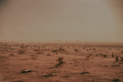 Erg Chigaga, Morocco — fine art travel photography print available from Clever Tourists