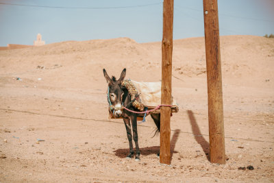 Erg Chigaga, Morocco — fine art travel photography print available from Clever Tourists