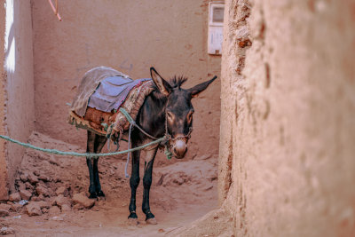 Erg Chigaga, Morocco — fine art travel photography print available from Clever Tourists