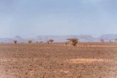 Erg Chigaga, Morocco — fine art travel photography print available from Clever Tourists