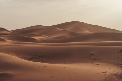 Erg Chigaga, Morocco — fine art travel photography print available from Clever Tourists
