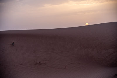 Erg Chigaga, Morocco — fine art travel photography print available from Clever Tourists