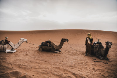 Erg Chigaga, Morocco — fine art travel photography print available from Clever Tourists