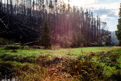 Hrensko, Czech Republic — fine art travel photography print available from Clever Tourists