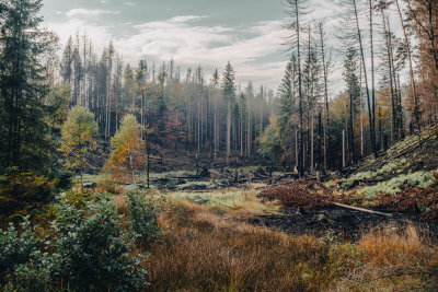 Hrensko, Czech Republic — fine art travel photography print available from Clever Tourists