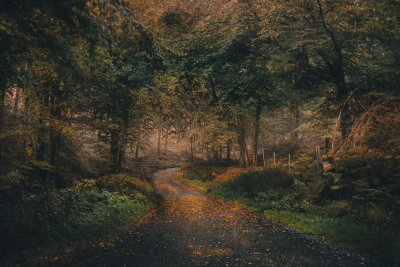 Hrensko, Czech Republic — fine art travel photography print available from Clever Tourists
