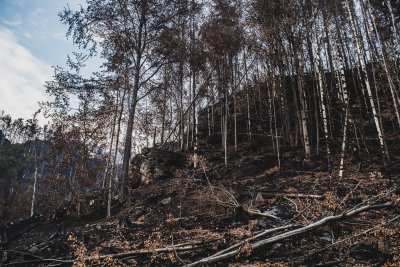 Hrensko, Czech Republic — fine art travel photography print available from Clever Tourists
