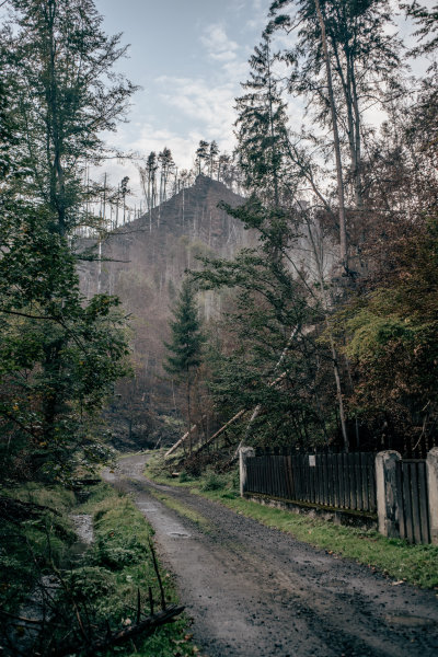 Hrensko, Czech Republic — fine art travel photography print available from Clever Tourists