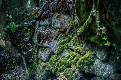 Hrensko, Czech Republic — fine art travel photography print available from Clever Tourists