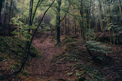 Hrensko, Czech Republic — fine art travel photography print available from Clever Tourists