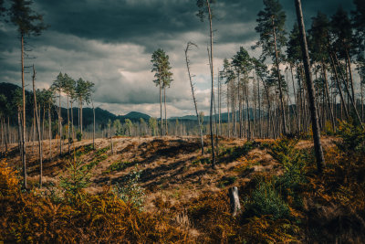 Hrensko, Czech Republic — fine art travel photography print available from Clever Tourists