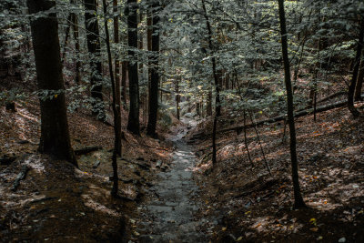 Hrensko, Czech Republic — fine art travel photography print available from Clever Tourists