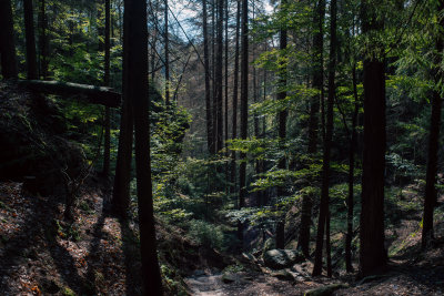 Hrensko, Czech Republic — fine art travel photography print available from Clever Tourists