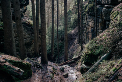 Hrensko, Czech Republic — fine art travel photography print available from Clever Tourists