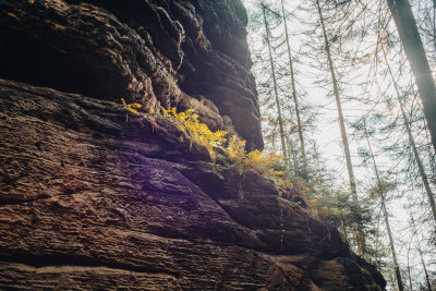 Hrensko, Czech Republic — fine art travel photography print available from Clever Tourists