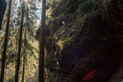 Hrensko, Czech Republic — fine art travel photography print available from Clever Tourists
