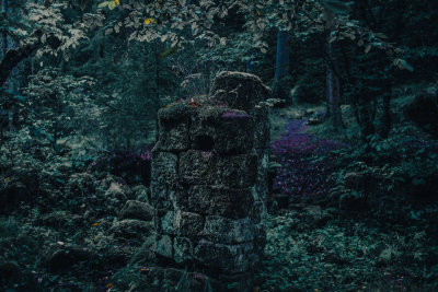 Hrensko, Czech Republic — fine art travel photography print available from Clever Tourists