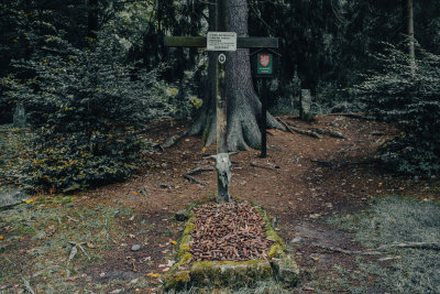 Hrensko, Czech Republic — fine art travel photography print available from Clever Tourists