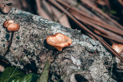 Sabang, Philippines — fine art travel photography print available from Clever Tourists