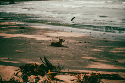 Sabang, Philippines — fine art travel photography print available from Clever Tourists