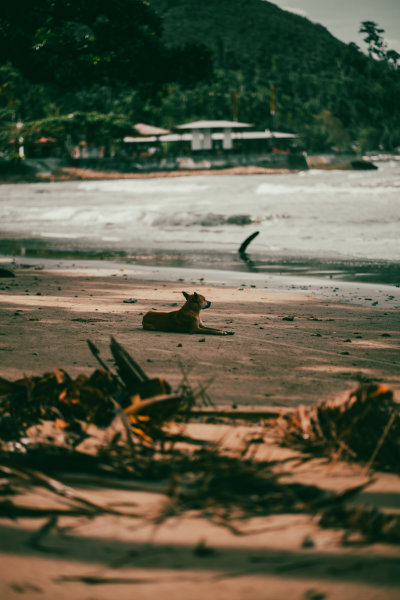 Sabang, Philippines — fine art travel photography print available from Clever Tourists