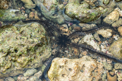 El Nido, Philippines — fine art travel photography print available from Clever Tourists