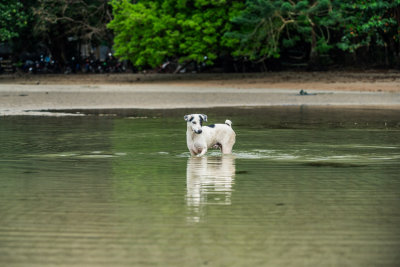 El Nido, Philippines — fine art travel photography print available from Clever Tourists