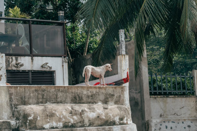 El Nido, Philippines — fine art travel photography print available from Clever Tourists
