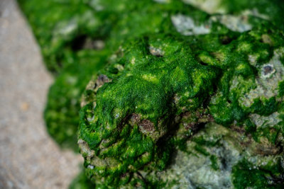 El Nido, Philippines — fine art travel photography print available from Clever Tourists