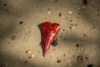 El Nido, Philippines — fine art travel photography print available from Clever Tourists