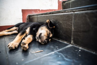 Chiang Mai, Thailand — fine art travel photography print available from Clever Tourists