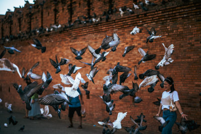 Chiang Mai, Thailand — fine art travel photography print available from Clever Tourists