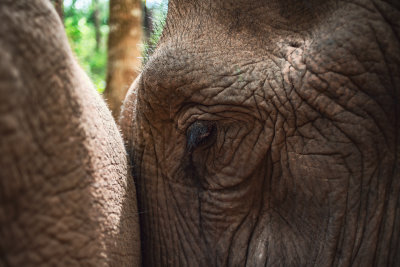Chiang Mai, Thailand — fine art travel photography print available from Clever Tourists