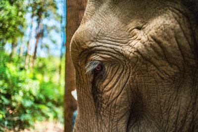 Chiang Mai, Thailand — fine art travel photography print available from Clever Tourists
