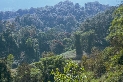 Chiang Mai, Thailand — fine art travel photography print available from Clever Tourists